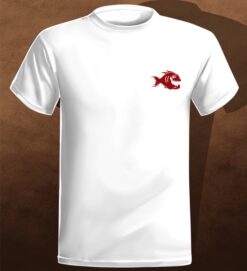 Alternative view of Stars & Stripes